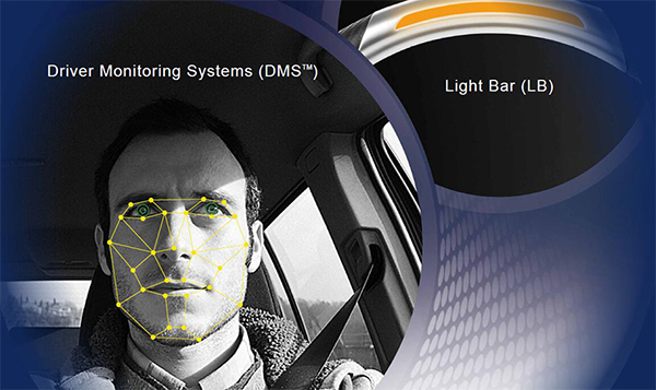 DMS 官网使用.jpg